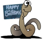 birthdaywurm