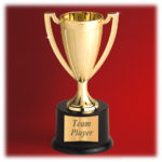 teamplayer