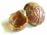 waschnuss