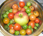 tomapfel